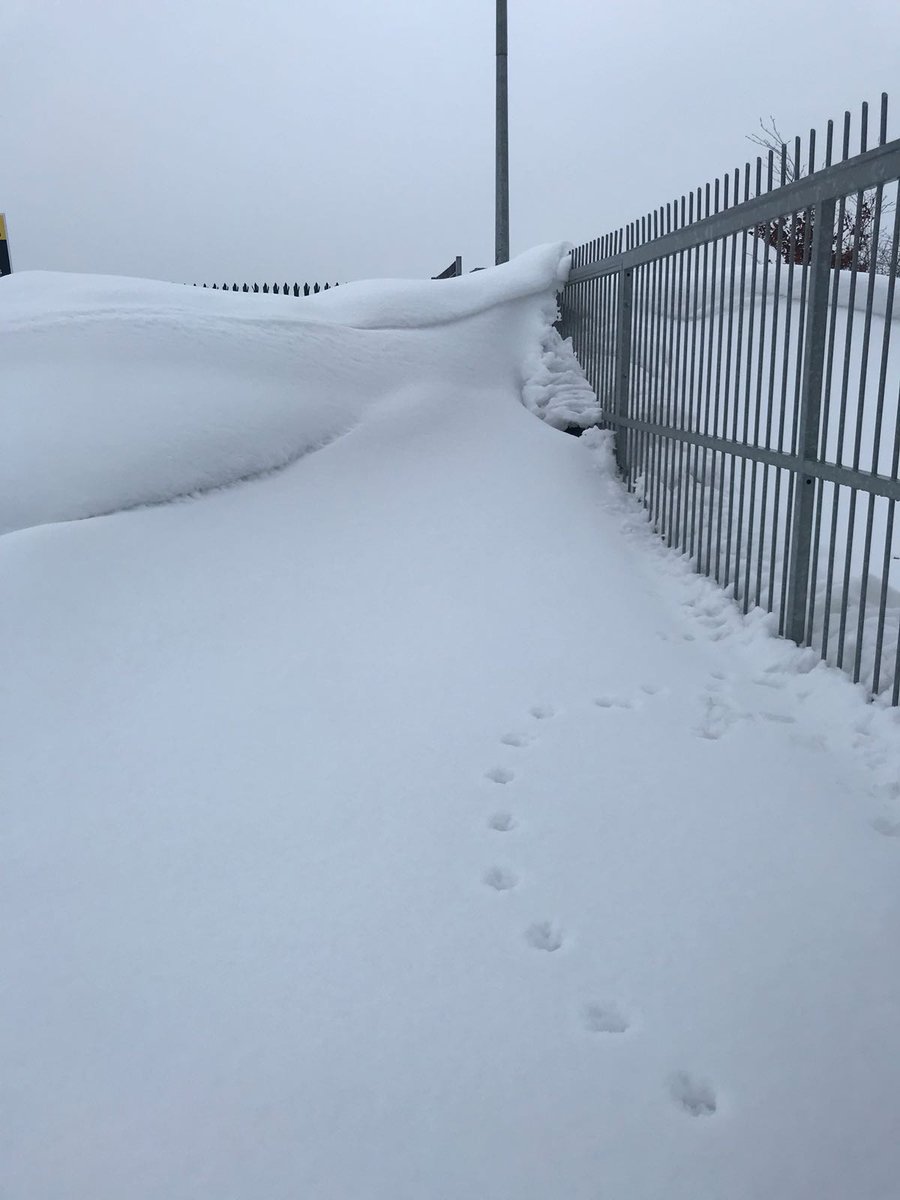 hire2k's tweet photo. Big thanks to @ECIJCB for the dig out this morning. https://t.co/qhNfaVgn9b