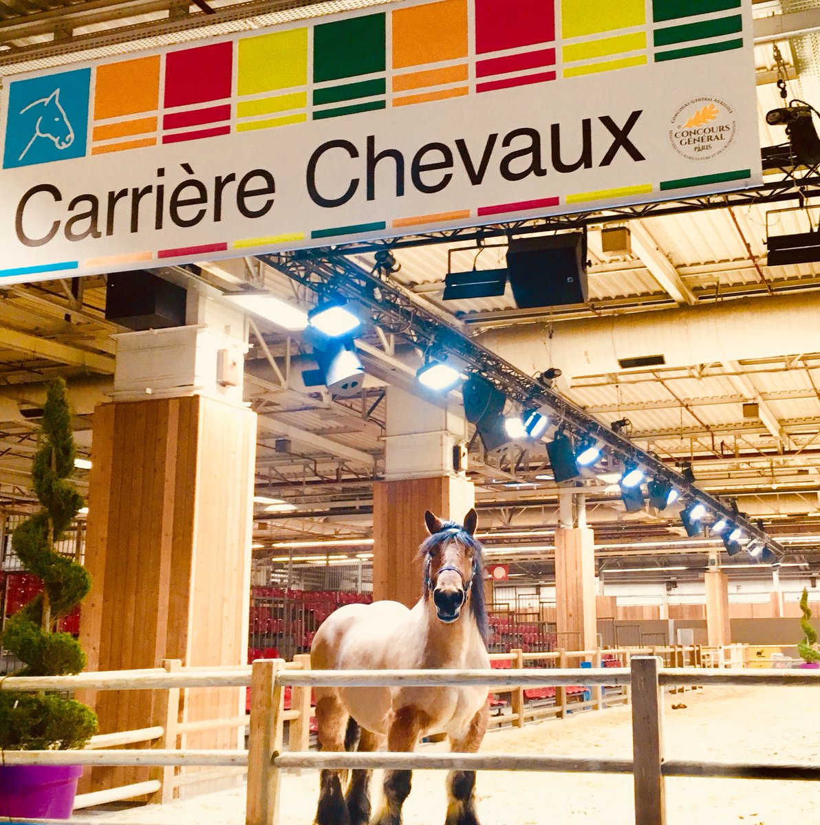 #SIA2018 terminé ! Bon retour et merci à tous 😊🐴 <a href="/Salondelagri/">Salon International de l'Agriculture</a> <a href="/comexposium/">Comexposium</a> @Min_Agriculture <a href="/cga_paris/">Concours Général Agricole</a> #salondelagriculture #paris #agriculture #elevage #chevaux