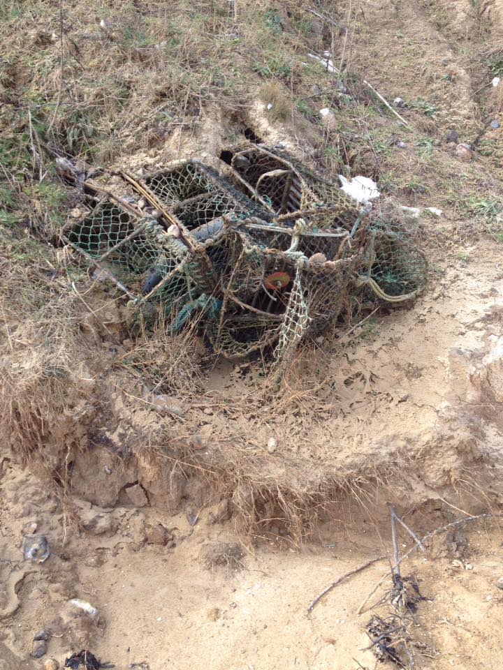 nrthnorfolkbeachclns tweet media