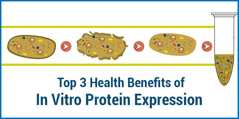 persistence_mkt's tweet image. Increasing production of #functionalprotein products for #sports &amp;amp; #fitness enthusiasts has led to a surge in demand for #invitro #protein expression among manufacturers; bit.ly/2oJpUeB
#biotech #Biotechnological #Pharmacy #technology #ClinicalTrends #HealthTech