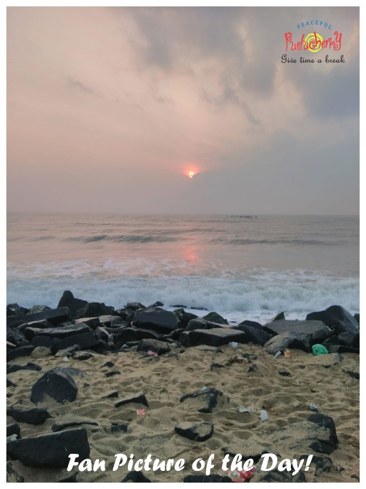 pondytourism's tweet photo. Fan Picture of the day!

Like us &amp; Follow us!

Want to get your Photo/Video published here, mail us at

pondytourismofficial@gmail.com

#Pondicherrytourism #Pondytourism #Puducherrytourism #Pondicherry #Puducherry #Pondy #PlacestoVisit #ExplorePondy #tourism #sightseeing https://t.co/81EDmRuq9m