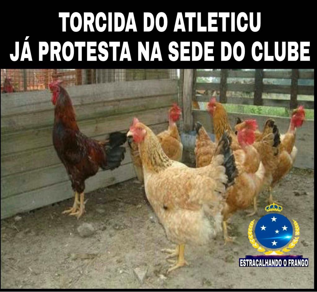 @hassancomhi2s @Fabriciogalo411 @Jefzeiro @Matheus29251494 @Samuell_CEC @FilipeJSa @galosempre1010 @duart1908 @a_bueno06 @Radio98Oficial @Cruzeiro @PVC