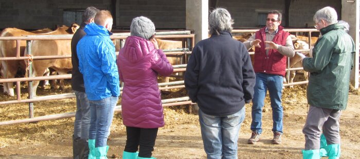 Ganaderos e investigadores de #Italia y #España intercambian experiencias sobre #vacuno_carne De qué hablaron? 👉 innovagri.es/actualidad/dia… | #comercio0km #vacasnodrizas #razasautóctonas #Feader