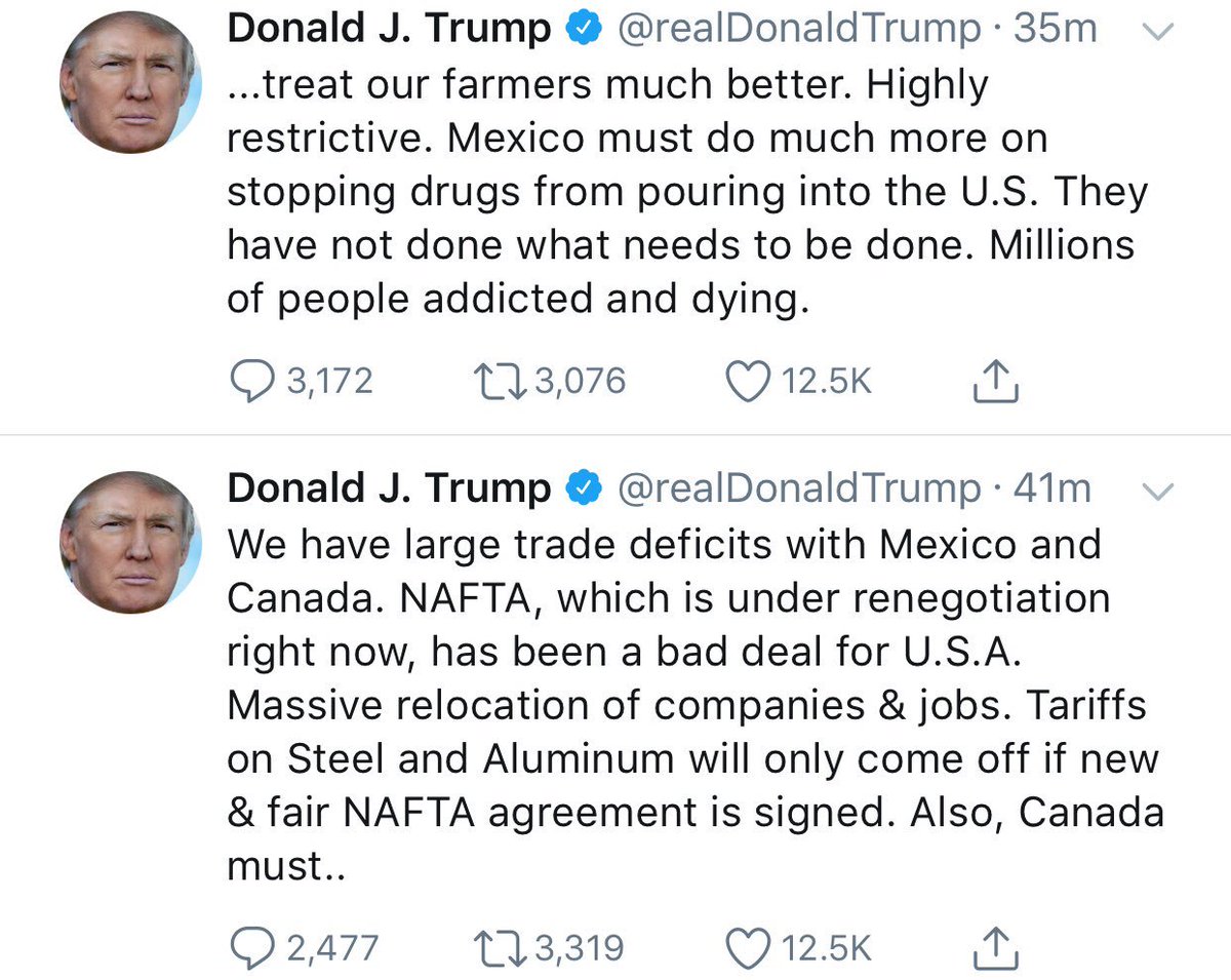 bithead 🇨🇦 tweet media