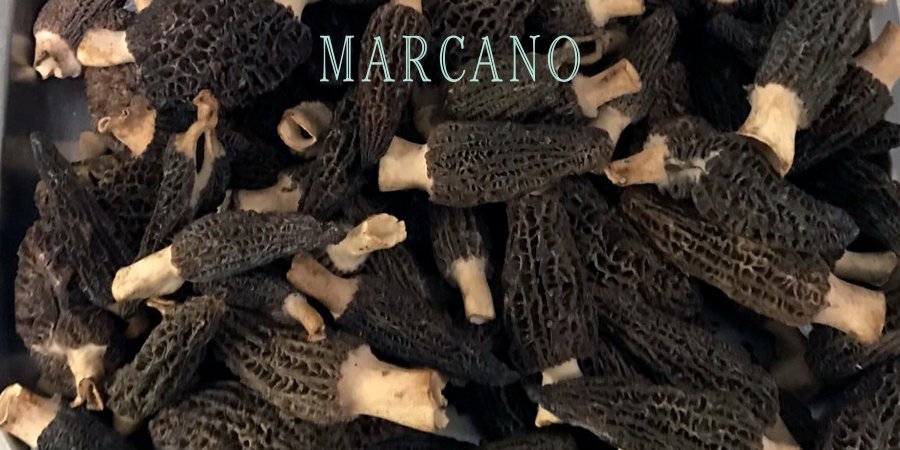 Restaurante MARCANO tweet media