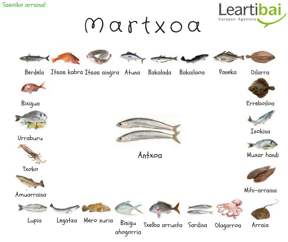 Leartibai's tweet photo. - E L I K A D U R A-
Ondarroako eta Leketioko portuek arrain freskoz hornitzen dute #LeaArtibai urte osoan zehar.
#Martxo-ko arrainak honako hauek dira, hilabete honetako protagonista zalantzarik gabe gure A N T X O A preziatua izango delarik! #elikadura #sasoia #freskoa https://t.co/jRRx4UlBbw