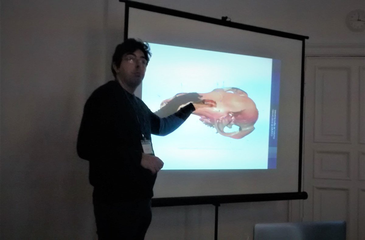 Physacourses's tweet image. We just started our course on #geometric #morphometrics with @CarmeloFruciano