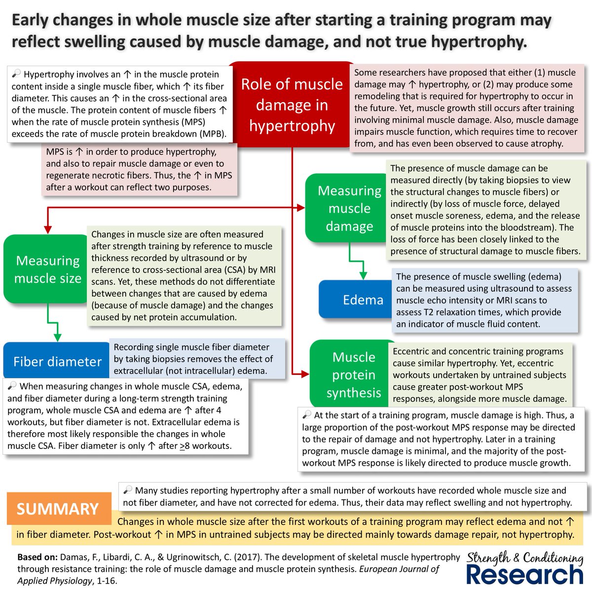SandCResearch's tweet photo. Muscle damage – not a contributor to muscular hypertrophy after all? https://t.co/LITvamSJBu