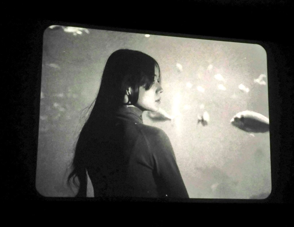 m0dernetta's tweet photo. Anoche, antes de meterme en la cama y dormir, empecé a soñar gracias a los cortometrajes de Sección Oficial de @festivalibaff. Fotograma de "Hoissuru" de Armand Rovira en @FilmotecaMurcia #Ibaff9 #cine #Murcia https://t.co/qcqkkSTzP5