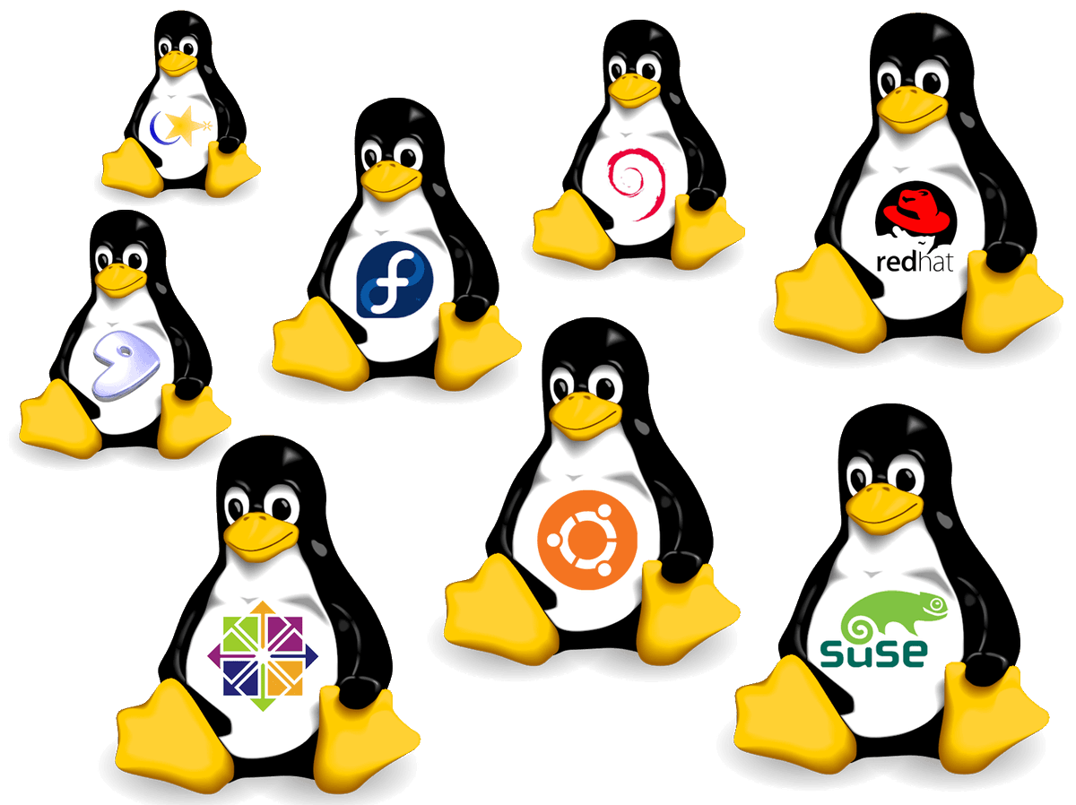 cloudeos's tweet photo. (Linux Dağıtım Kod İsimlerinin İlginç Hikayeleri) - https://t.co/oMvvHa0b4C https://t.co/CScj3Er0xT