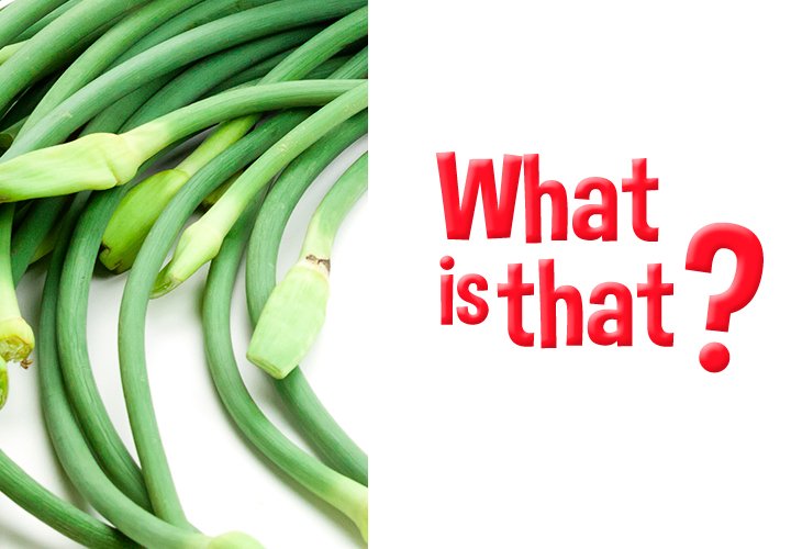 Just another #MondayFunday. Take a guess!