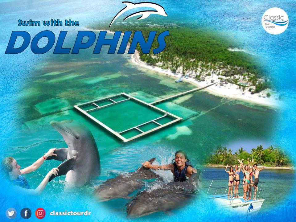 Classic Tour tweet media