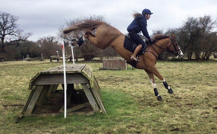 Laura Schrøter tweet media