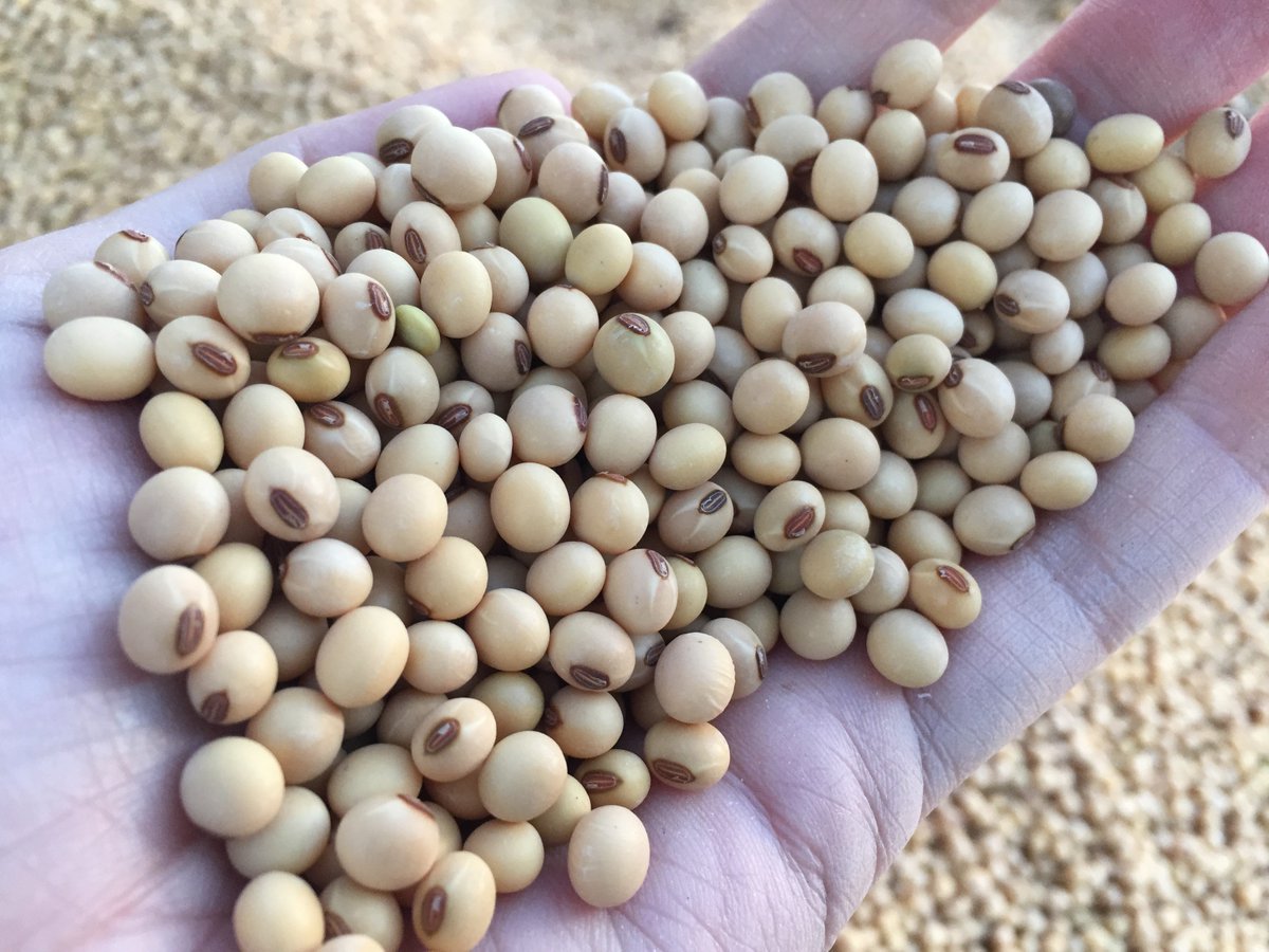 rrfn's tweet photo. Check out this week's #FarmNetNews, featuring @ComClassic coverage, @NFUDC , #RFS discussions and more. Read it all at https://t.co/4qnI5CX5JK. https://t.co/tLNY4s1grm
