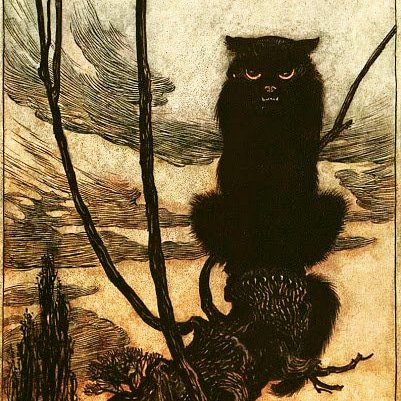 Not a fan of mondays #gothcat