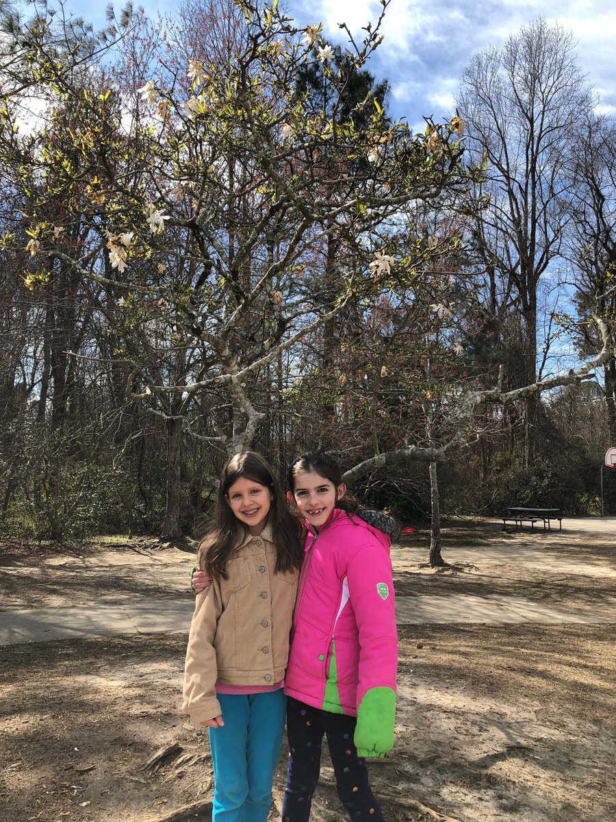 mrs_thaler's tweet photo. A few signs of spring greeted us today! 🌿🌸 #squeee #trackingbackin #butitscold https://t.co/8EBgzY9BEY