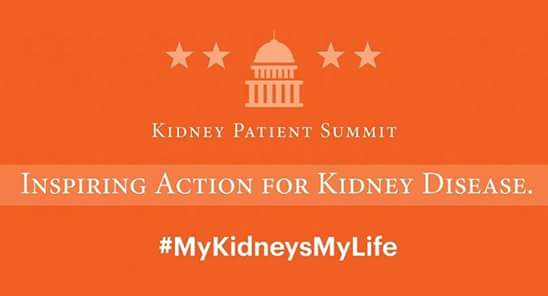 I am in DC for the Kidney Patient Summit, advocating for early detection of kidney disease, protections for living kidney donors, and increased funding for research. #mykidneysmylife  #kidneysonthehill