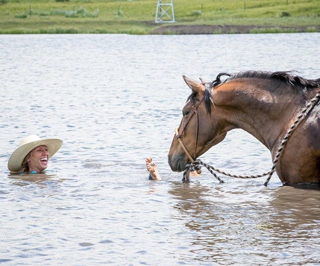 MustangMaddy_'s tweet photo. That moment when your mustang realizes you’ve had scary toes under your boots this whole time 😂👣 #mustangfever #wildhorse #blmmustang #horsemanship #horsetraining #cowgirl #horselife #horsesofinsta #horsesofinstagram #cryptoaero pc: @impulsephotographymb https://t.co/ahDnxsOP7j https://t.co/51bE58z0Wr