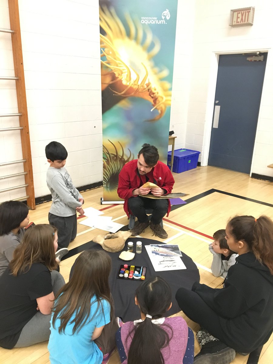CPark_Panthers's tweet photo. We have AquaVan visiting our school today! The students are having fun with hands-on learning about marine life #AquaVan #VancouverAquarium https://t.co/6KkK0oEq5y