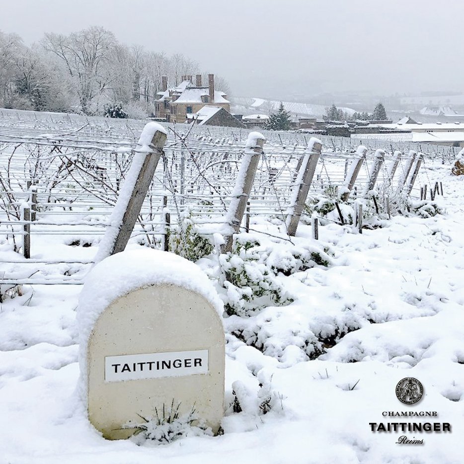 Taittinger España tweet media