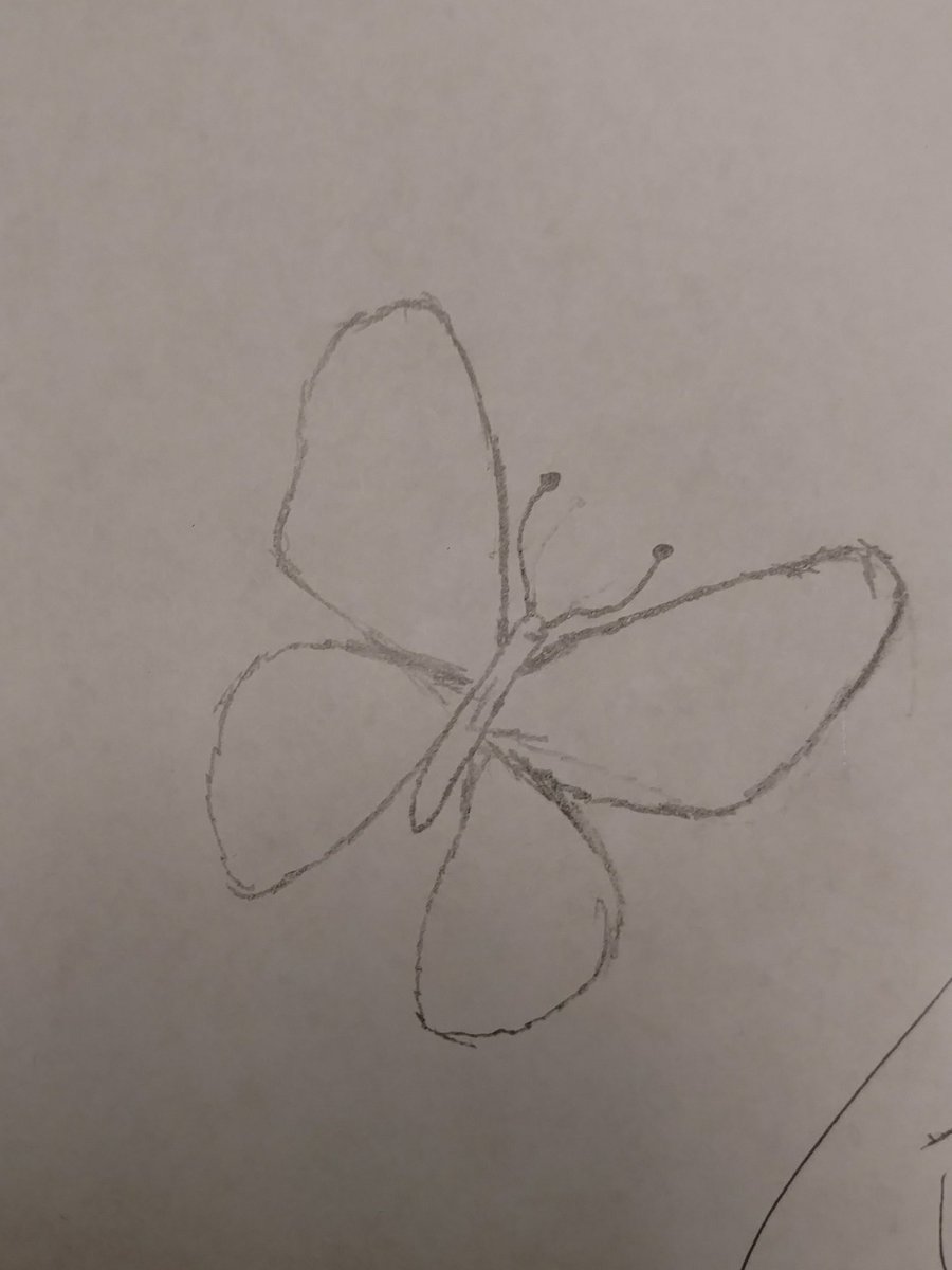 Mr_Ligatti's tweet photo. Here are a few more butterflies. #betheu #lcbmath @lcbirdprincipal https://t.co/aVQaYcJy5x