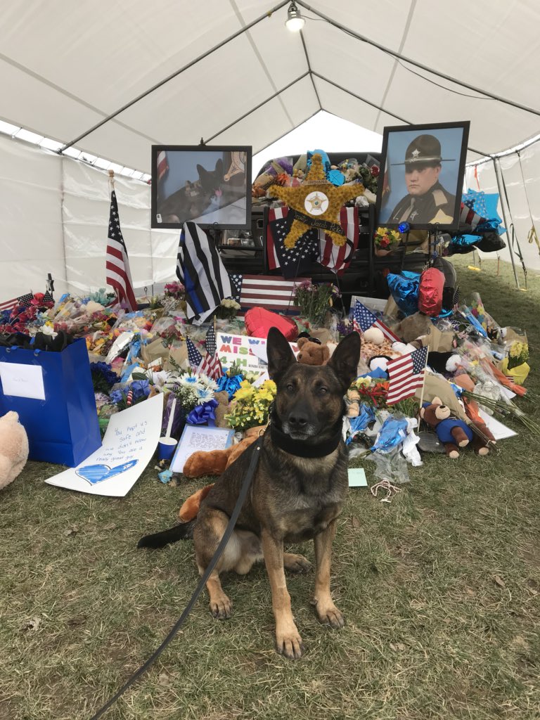 ISPIndianapolis's tweet image. Deputy Pickett’s partner ‘Brik’ stopped by to see the memorial today. It’s absolutely breathtaking to see the outreach &amp;amp; support from the Boone County Communtiy &amp;amp; beyond

#DeputyPickett #RestEasyWarrior