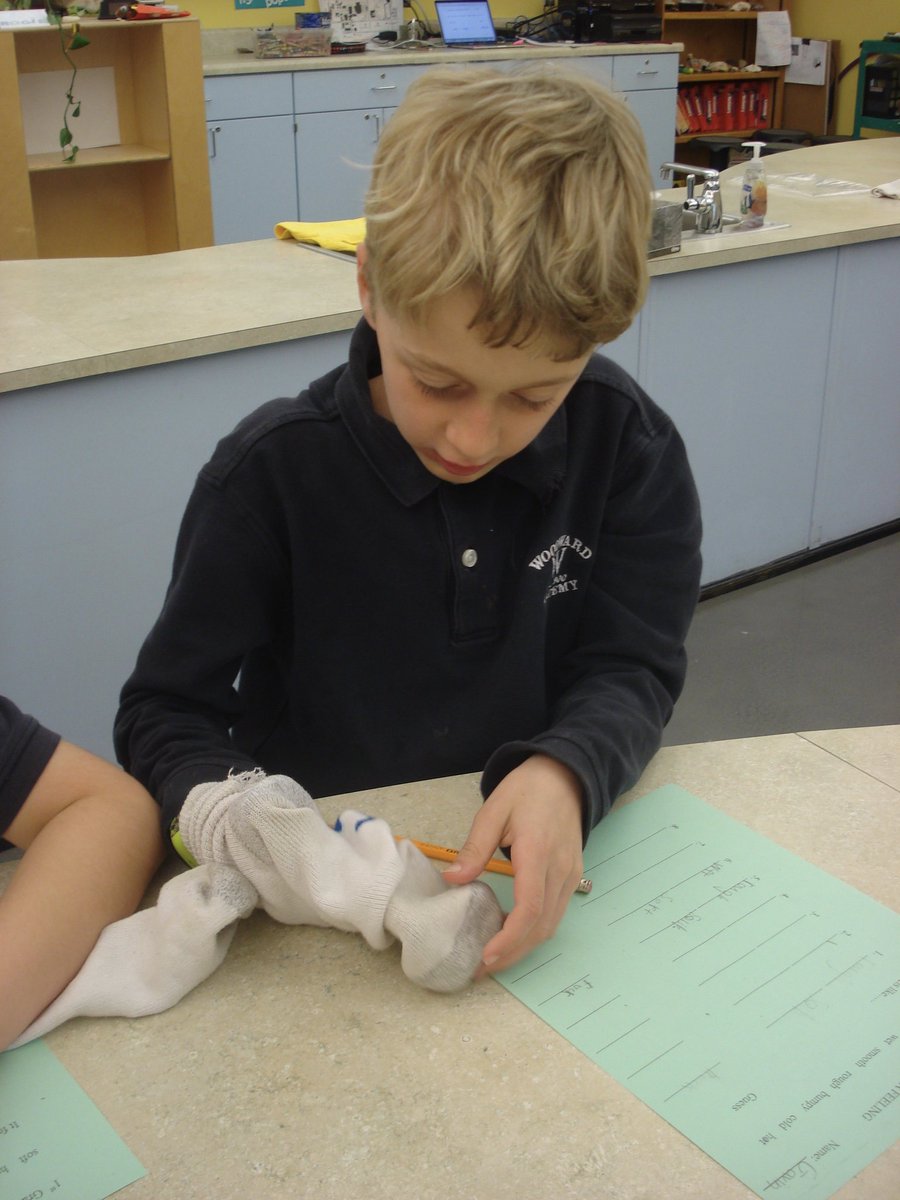 David Rogie tweet media