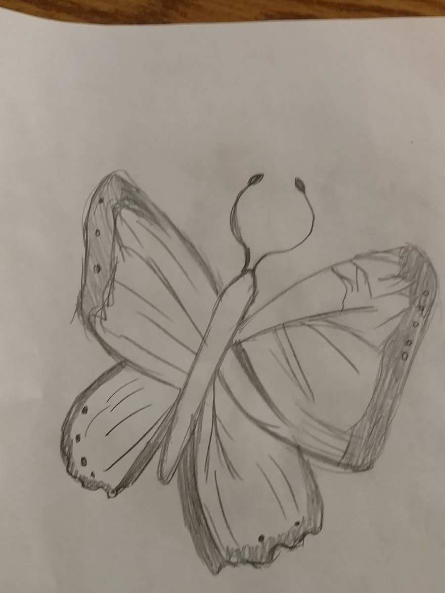 Mr_Ligatti's tweet photo. Here are a few more butterflies. #betheu #lcbmath @lcbirdprincipal https://t.co/aVQaYcJy5x