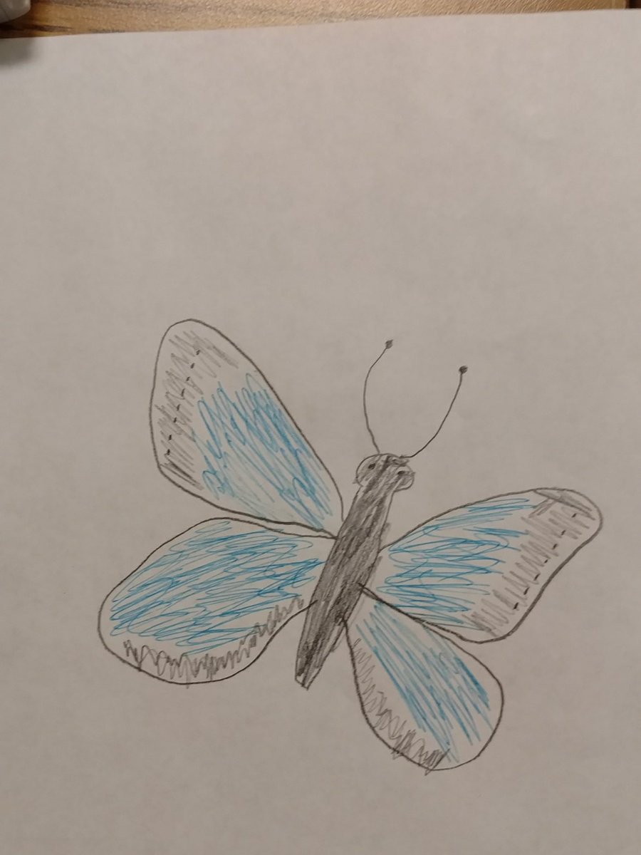 Mr_Ligatti's tweet photo. Here are a few more butterflies. #betheu #lcbmath @lcbirdprincipal https://t.co/aVQaYcJy5x