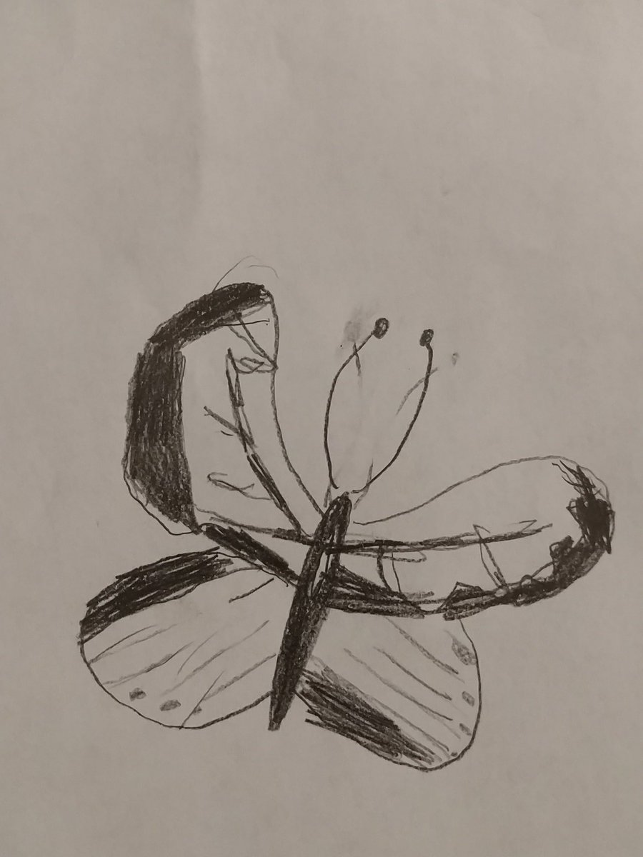 Mr_Ligatti's tweet photo. Here are a few more butterflies. #betheu #lcbmath @lcbirdprincipal https://t.co/aVQaYcJy5x