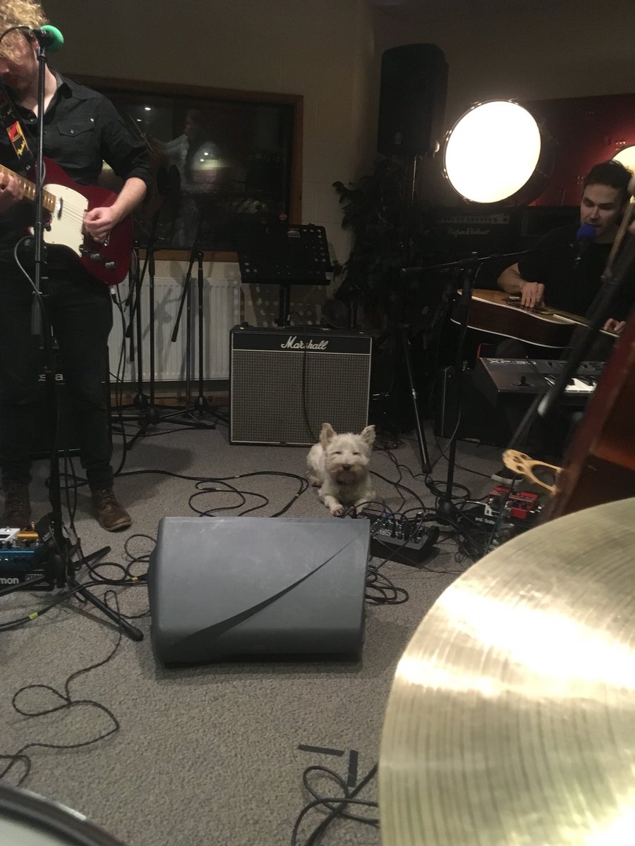 theDanielJLogan's tweet photo. Todayβs #viewfromthekit is of my rehearsal with @alx_green ready for his show at @Telfords Warehouse on Friday (and features my fluffy drum tech, Radley) #livemusic #newmusic #studio #drums #westie https://t.co/RCV4xfRgYb
