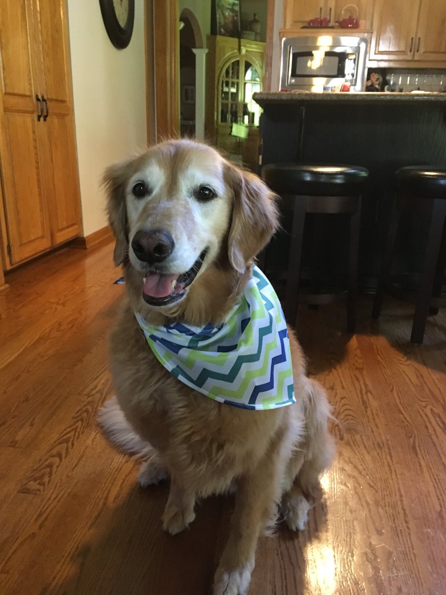 Say hello to our Dog of the Week, Lucy! She can’t get enough of our Pork &amp; Chicken Sausage Links!