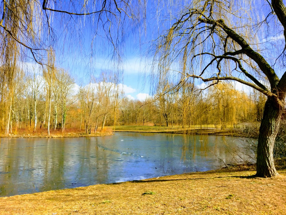 AkoSiAys's tweet photo. The partly frozen lake in @BonnerRheinaue. It was a nice sunny lunch break walk.
#Bonn https://t.co/8PF6oXdlJZ