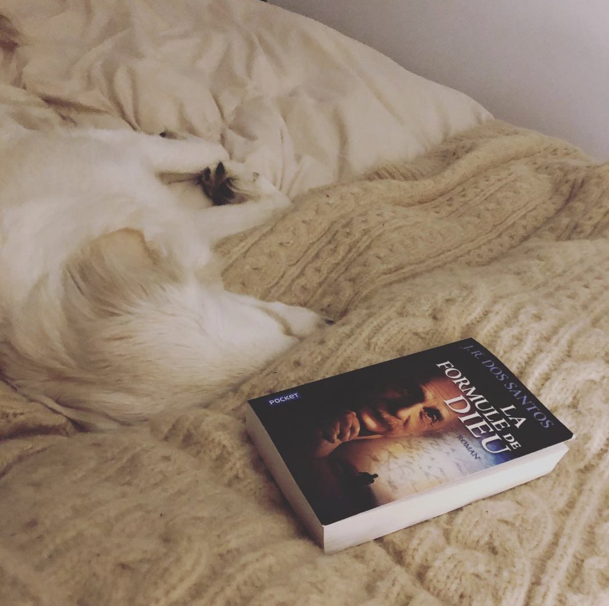 J_R_dosSantos's tweet photo. Bon début de semaine à tous ! 🐶📖🔇
#LaFormuleDeDieu #PocketEditions https://t.co/elBMTH17wc