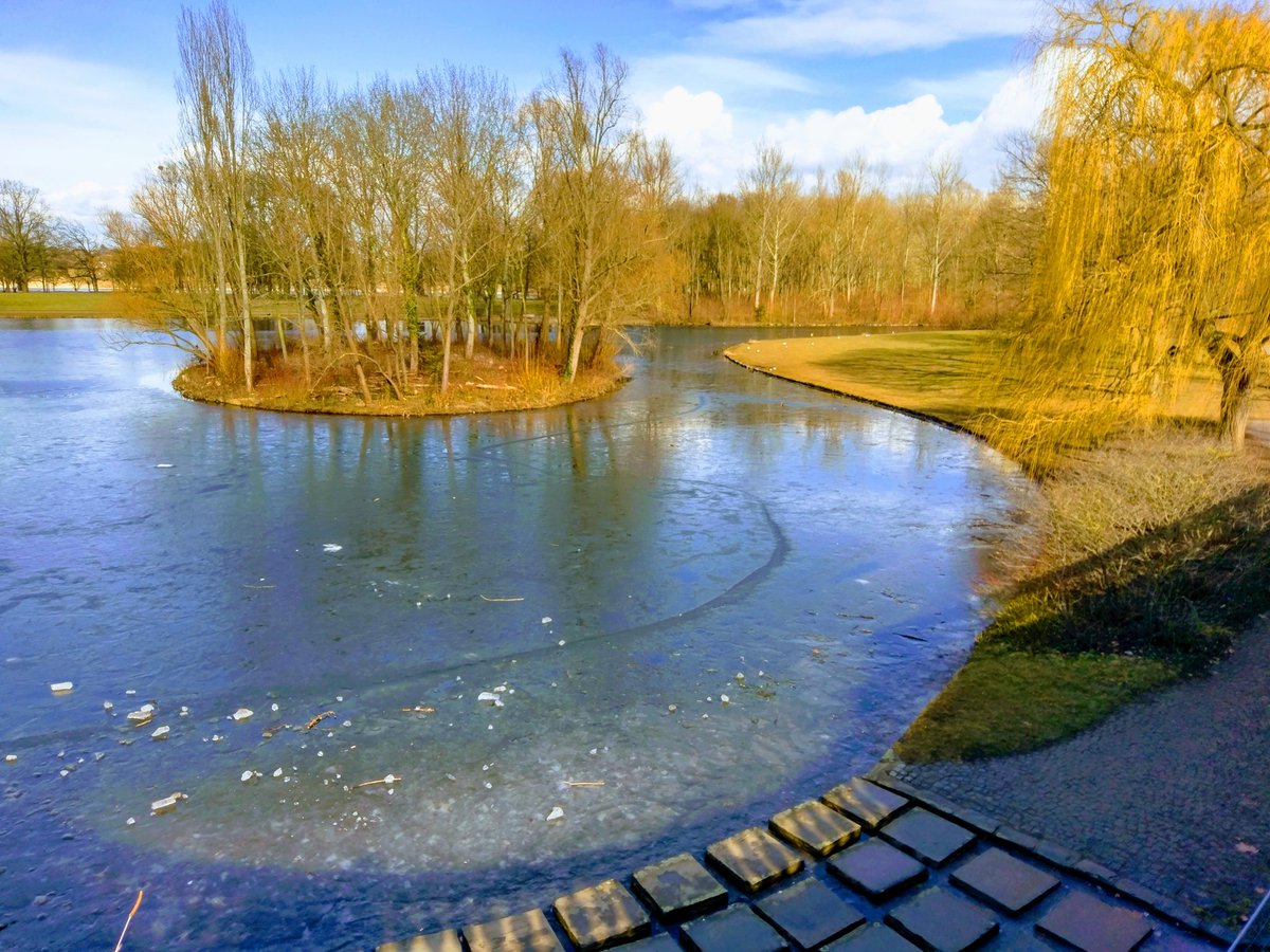 AkoSiAys's tweet photo. The partly frozen lake in @BonnerRheinaue. It was a nice sunny lunch break walk.
#Bonn https://t.co/8PF6oXdlJZ
