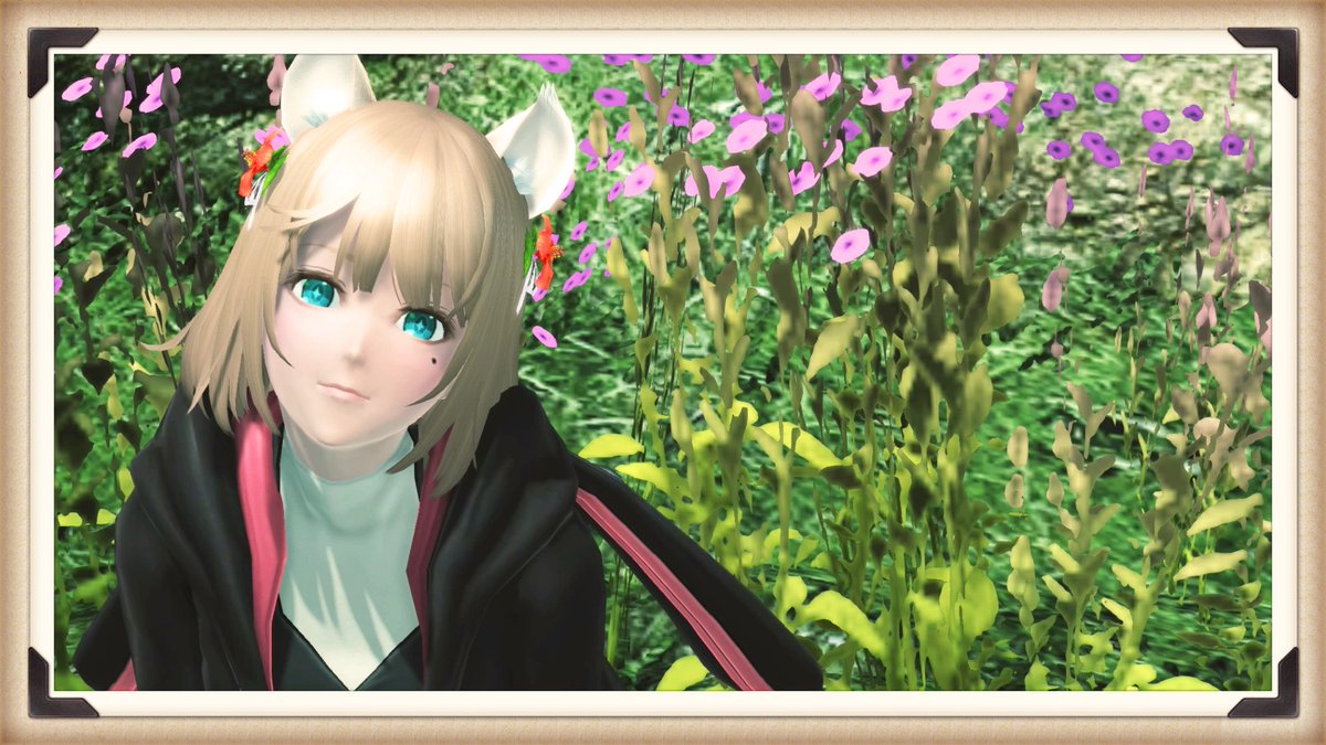 PSO2_yuzutan's tweet image. 今日も１日お疲れ様です。

今回は合間にささっと撮ってるから同じ場所、同じ衣装とかで面白くないかもしれません(◦˙-˙◦)
皆様のオススメの服とか教えて貰えたら嬉しいです！
♡＆RTして頂けたら今後の励みになります！！( ¨̮⋆)

#メンテの日じゃないけどssを貼る 
#PSO2 #PSO2うちの子を愛でる会