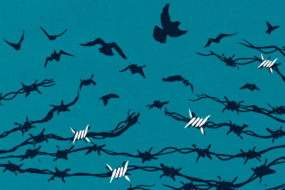 TheDbleNgtve's tweet image. “Seven days into his presidency, the world realised he was serious…” Banthology: Stories From Unwanted Nations buff.ly/2oH2uXk @commapress