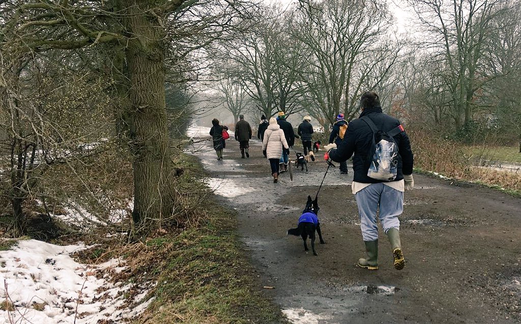 WoofWimbledon's tweet photo. A massive thank you to everyone that came down to #WimbledonCommon on Saturday and took part in our first ever #WoofWimbledon sponsored dog walk! https://t.co/BLnvHf8xRq