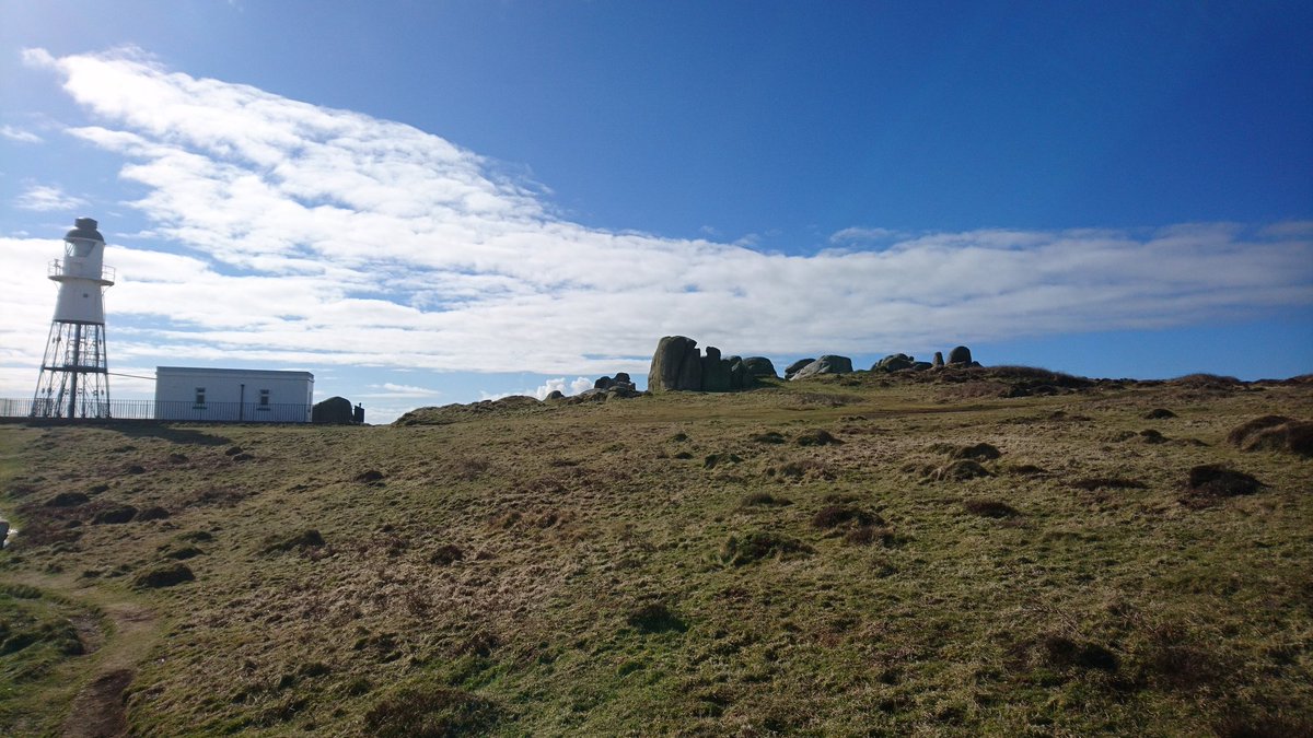 Amelia Mills tweet media