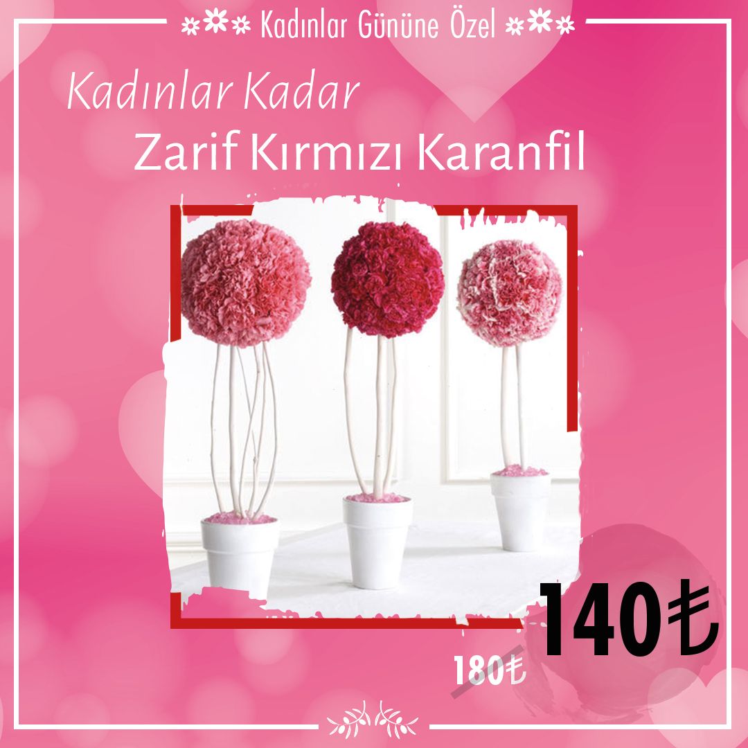 Kadınlar Gününe Özel Karanfil Sadece 140 TL #sabuncakis #sabuncakis1874 #sabuncakisbomonti #istanbul #kadınlargünü #çiçek #çiçekgönderimi #aranjman #sabuncakiscomtr #siparis #onlinecicek #kampanya #indirim #fırsat #8mart #karanfil