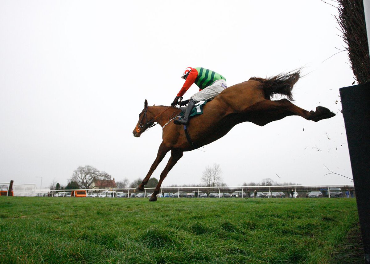 CatterickRaces's tweet photo. #DefinitelyRed won at Catterick in the 2015 New Year Novices' Hurdle! Now he prepares for Cheltenham... #comeonRed https://t.co/GsAnBmsndu https://t.co/mG3htCeq3M
