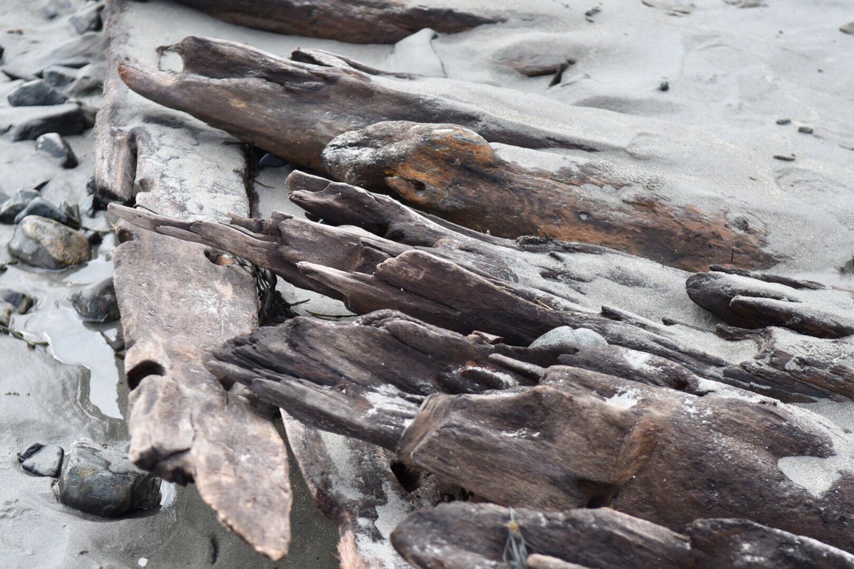 smgphoto's tweet image. People #explore #sunken boat #exposed #York short sands @FostersDailyDem @seacoastonline
