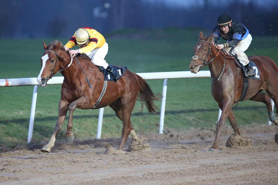 EquiMindShows's tweet photo. We are so proud of our #EquiMind #Winners enter one of our Equine Online Competitions today for a chance to be a March Winner! #horse #WinnerAtEquiMind #Competitions #equinephotography #dressagehorse #dressage #dressagequeen #horsesoftwitter #horseback #horsehour #Equimind https://t.co/JYbWfs7iSN