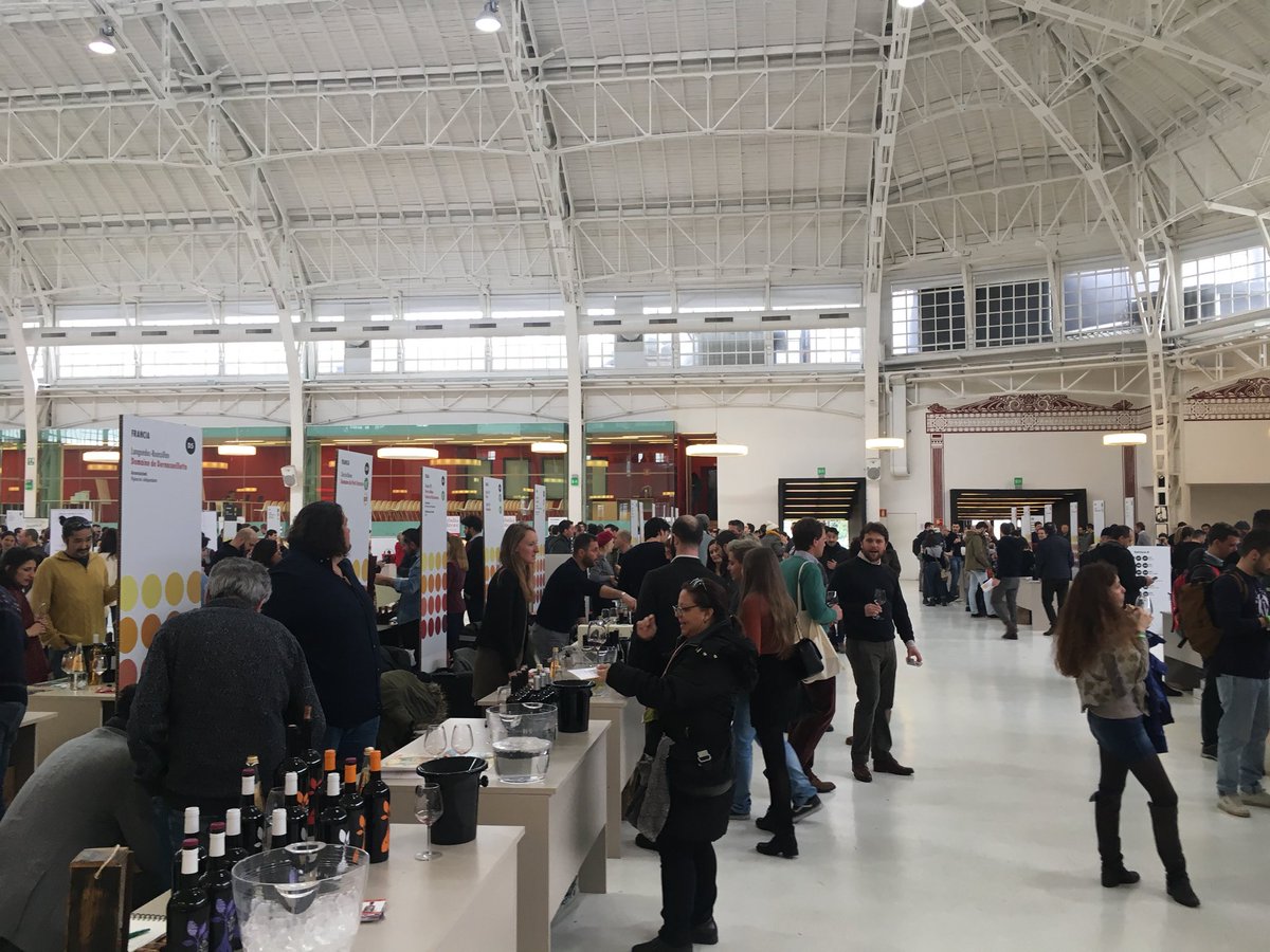 Max Cochetti tweet media