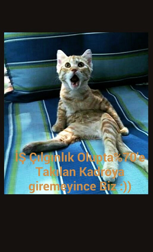 #yüzde70mağdurukamuşoförleri  #Kamudakiralıkaraçşoförleri #%70HAYIR #BizBittiDemedenBitmez #HakVeAdaletBugünOlmazsaYarın #BirUmutİşte