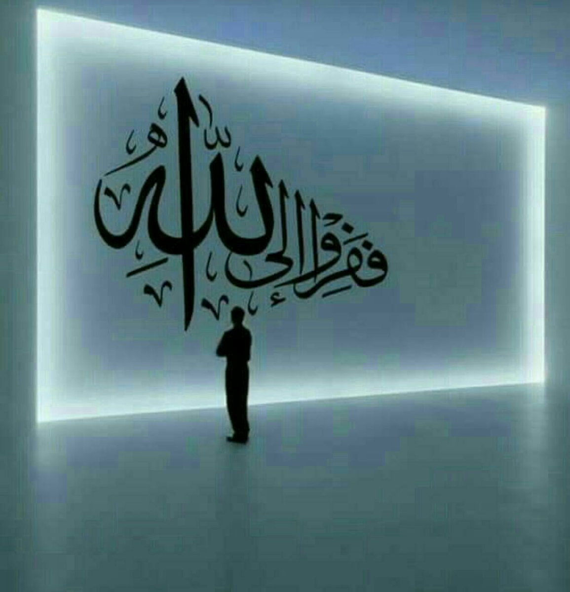 himhabi tweet picture