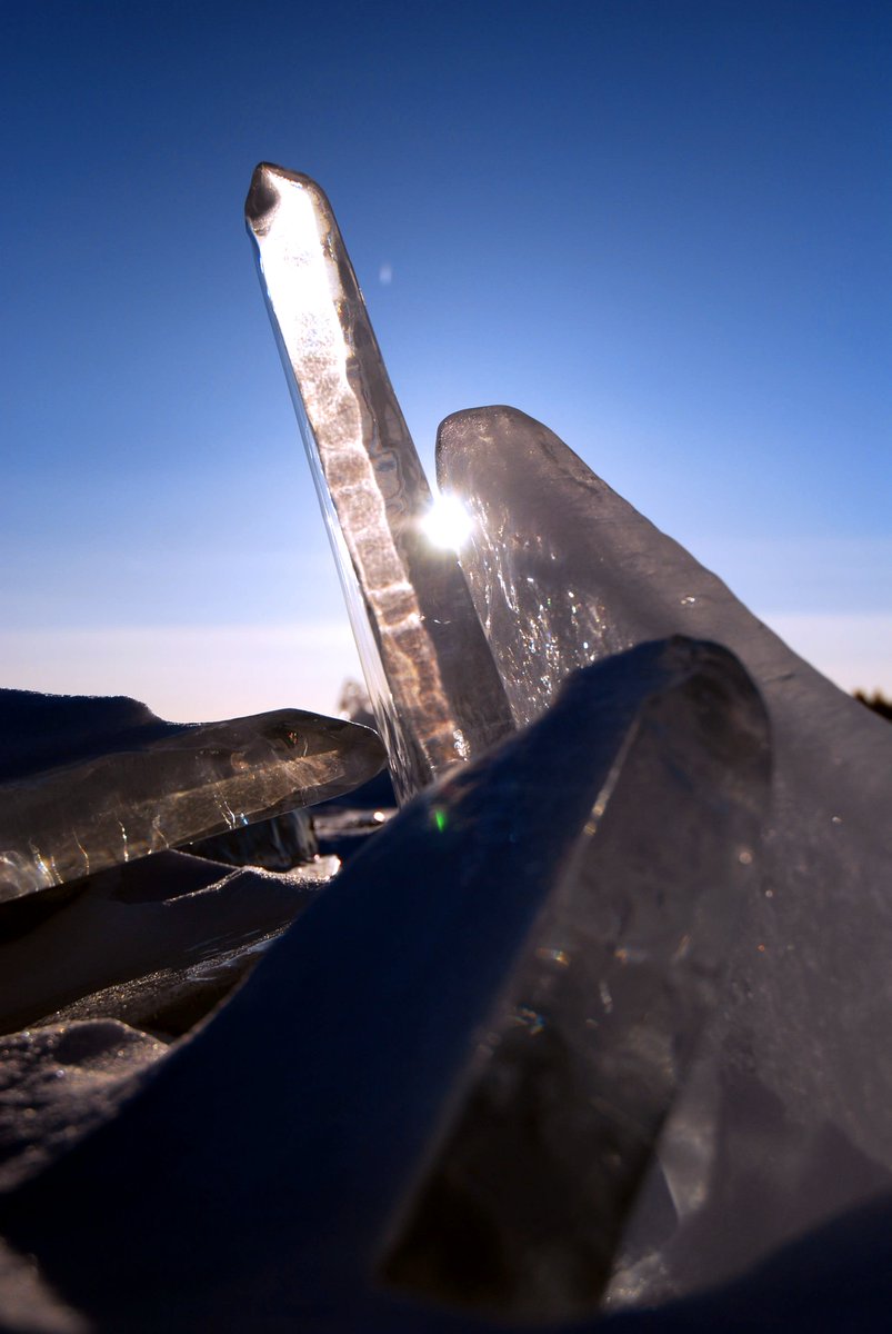 UMNNRRI's tweet image. @UMDNRRI1 Researcher Andy Bramburger: "We need to kind of race against time a little bit to find out how important winter is and how active things are down there before we've really lost winter." @LLOBlueHeron  bit.ly/2CZikAU