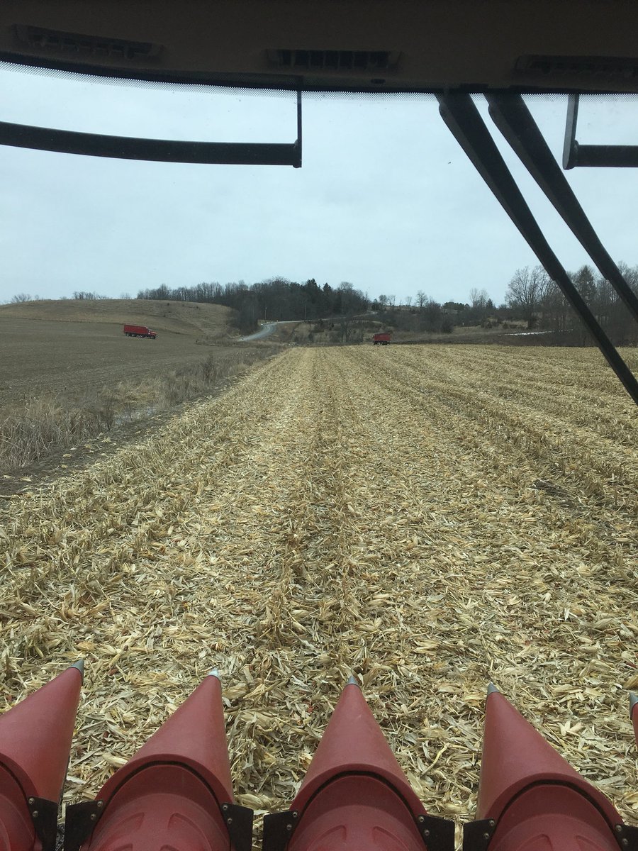 ihboy86's tweet photo. Boiling some corn sap today in the middle east! #corn17 ! https://t.co/e6dQFc7YmT