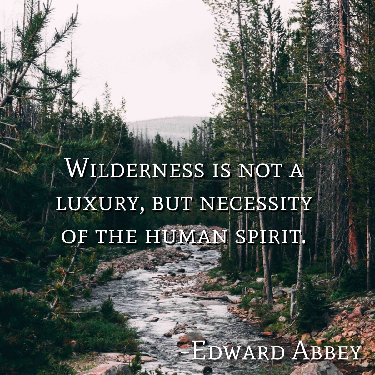 AmazoutdoorAdv's tweet image. Enjoy nature, become a part of it. #nature #goadventuring