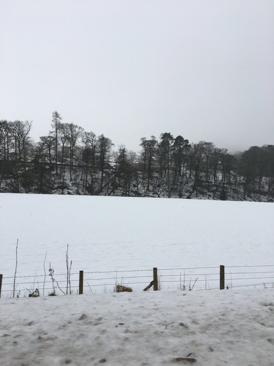 Dual calling to day in the Scottish Borders with NSK. Trial an NSK Z Series Handpiece now. Contact me on 07712 246 983 for details.  #dentaldirectory. <a href="/NSK_UK/">NSK UK Dental</a>